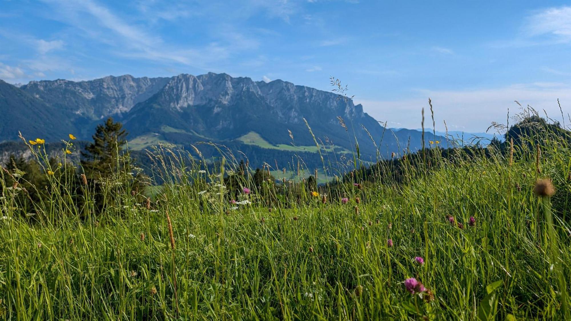 BERGapart Götschl Rettenschöss Exterior foto